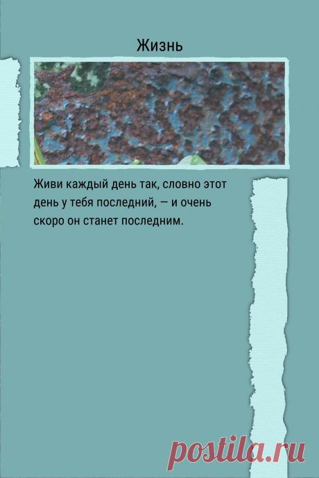 Цитата про «Жизнь» — Живи каждый день так, словно этот день у тебя…