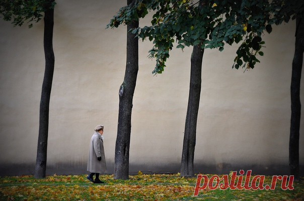 «Еще одна осень» Октябрь, Санкт-Петербург, сквер композитора Андрея Петрова. Автор фото – Сергей Ковяк: nat-geo.ru/photo/user/337221/