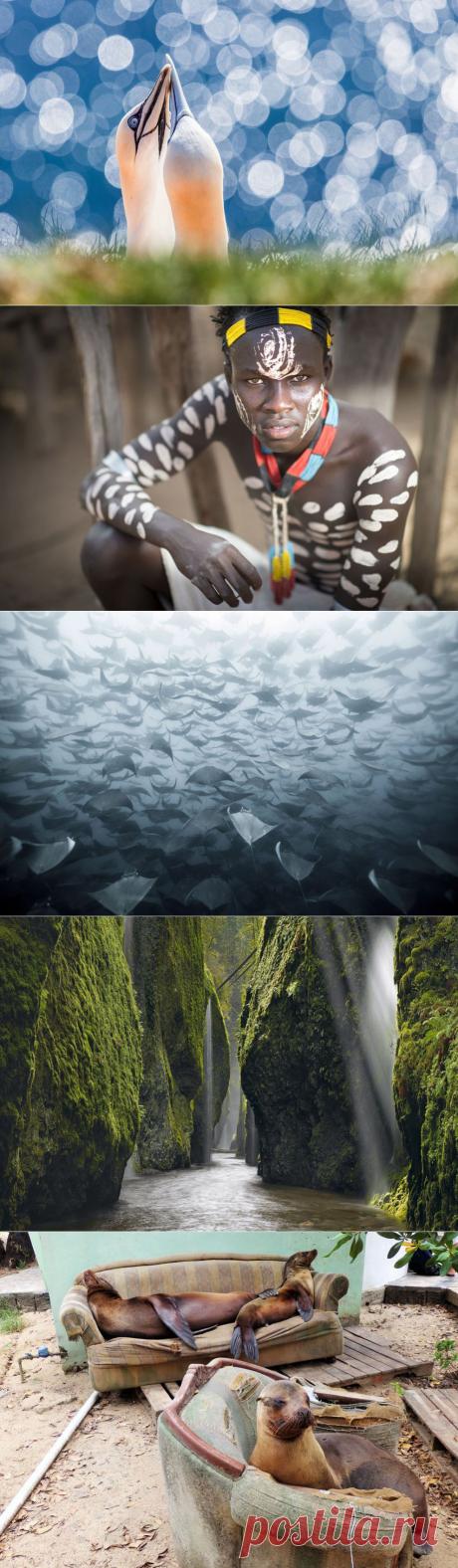 Фотоконкурс от журнала National Geographic Traveler 2014 | ТАЙНЫ ВСЕЛЕННОЙ