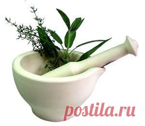 >> Коксартроз – лечение коксартроза народными средствами и методами