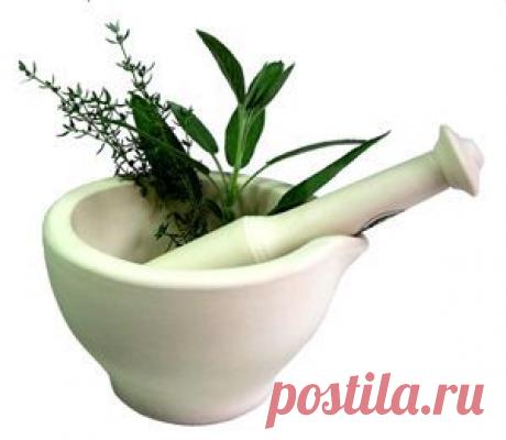 >> Коксартроз – лечение коксартроза народными средствами и методами