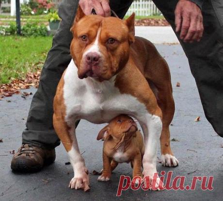 Одноклассники