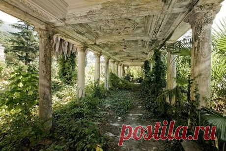 (34) Dimon Zodiak Lysak