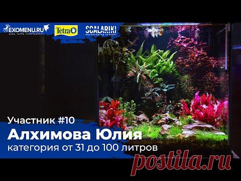 Креветочник 43 л Участник №10 в категории от 31 до 100 литра #Scalariki​ Aquascaping Contest 2021 - YouTube