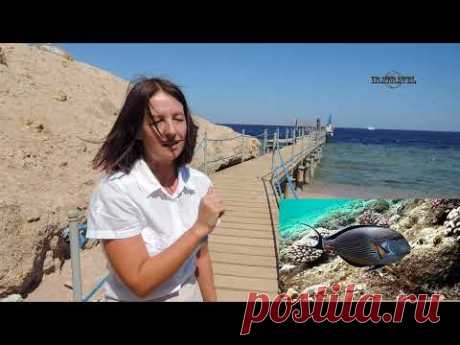 ШАРМ ЭЛЬ ШЕЙХ 2023 AMPHORAS BEACH HOTEL 5* 🌴 АКТУАЛЬНАЯ ИНФОРМАЦИЯ ОТ ПРЕДСТАВИТЕЛЯ ОТЕЛЯ