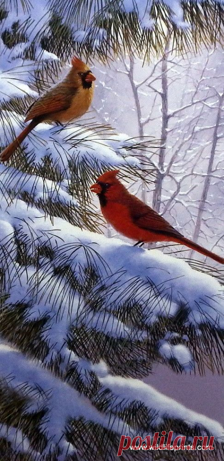 Pinterest