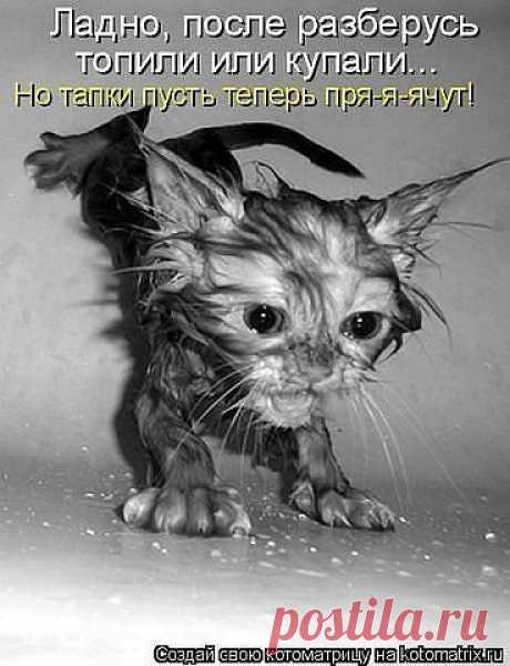 ๑۩۩๑...ОПТИМИСТ...๑۩۩๑
Марсианка О