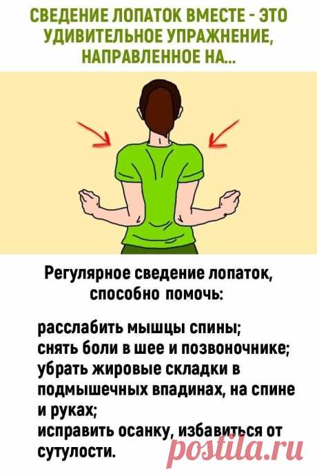 Сведение лопаток