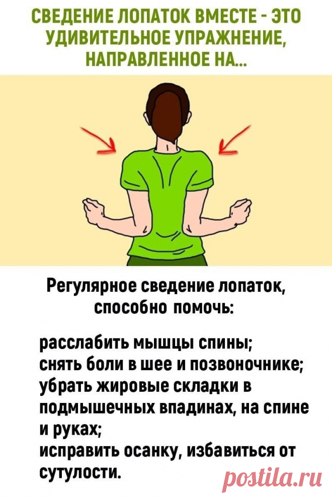 Сведение лопаток