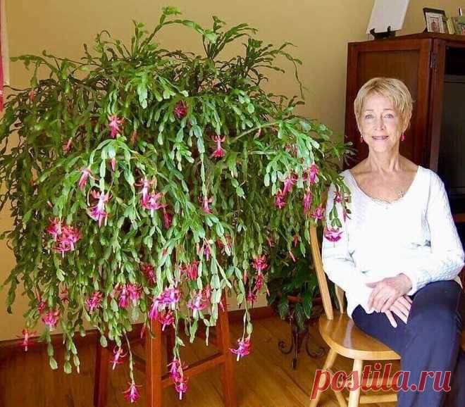 СДЕЛАЙ САМА — Фото | OK.RU