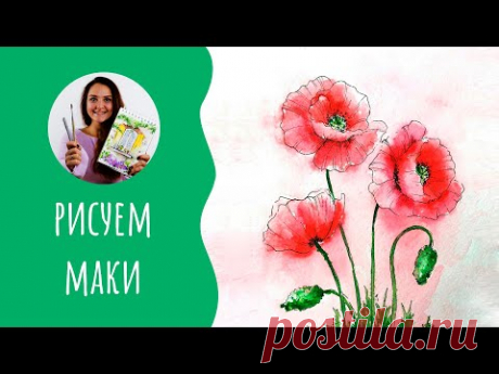 Как нарисовать маки. Уроки рисования. Скетчинг для начинающих.