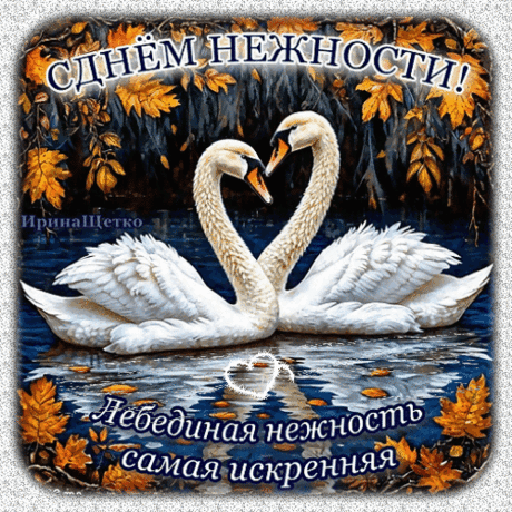 День нежности!