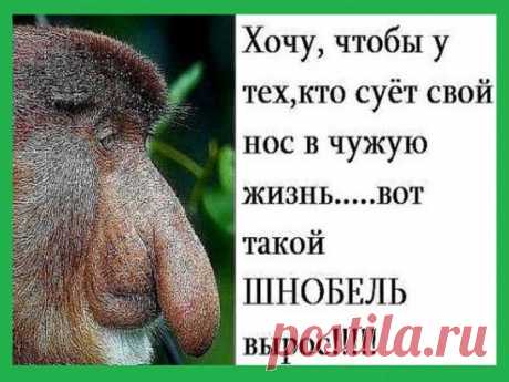 Однокласники