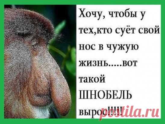 Однокласники