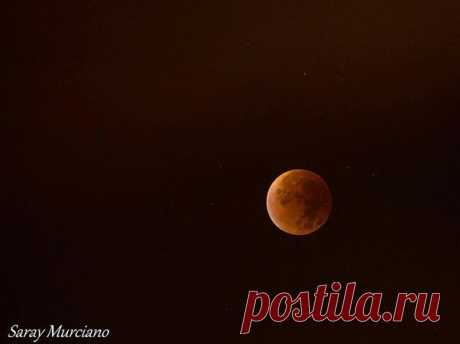 Автор фото: sarayyy19. | «Кровавая Суперлуна»: какой ее увидели жители Земли — National Geographic Россия
