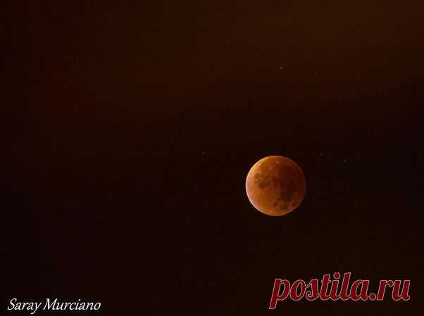 Автор фото: sarayyy19.  |  «Кровавая Суперлуна»: какой ее увидели жители Земли — National Geographic Россия