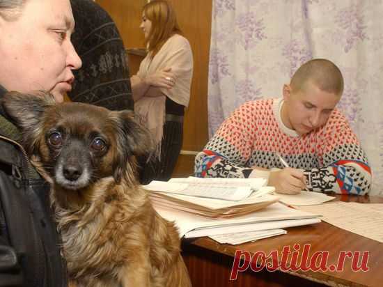 Не хочешь переписываться? плати штраф! / Закон и Порядок