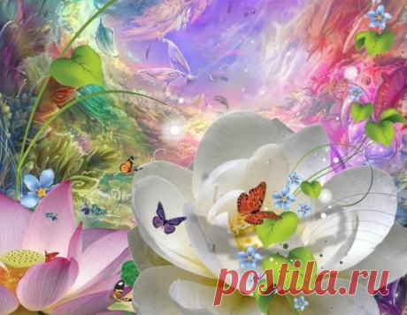 (2) Мой Мир@Mail.Ru