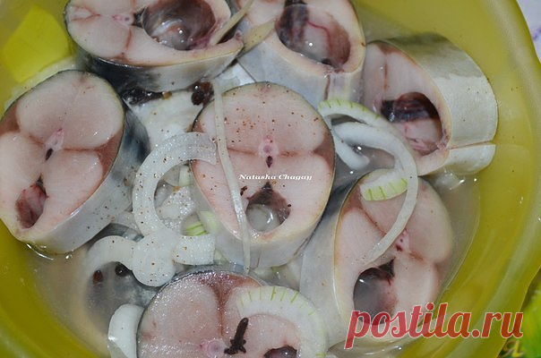 Скумбрия, маринованная в яблочном уксусе с пряностями  / Необычные увлечения