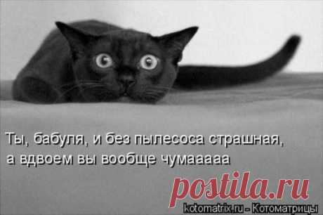 Мой Мир@Mail.Ru