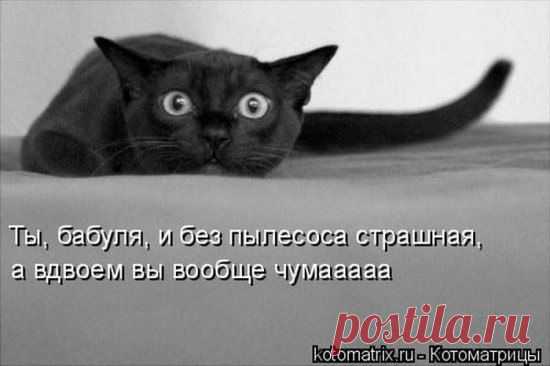 Мой Мир@Mail.Ru