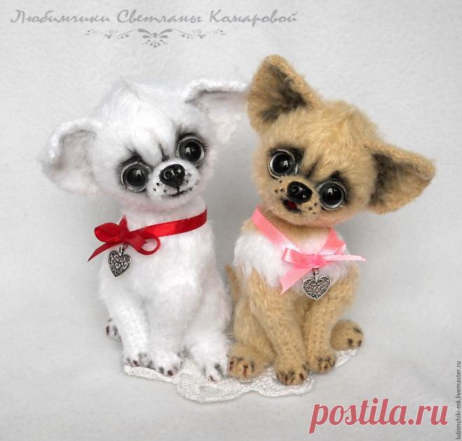 Купить Мачо(чихуа №2) в интернет магазине на Ярмарке Мастеров Купить или заказать Мачо(чихуа №2) в интернет магазине на Ярмарке Мастеров. С доставкой по России и СНГ. Материалы: в описании. Размер: 15см