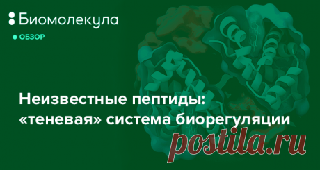 Неизвестные пептиды: «теневая» система биорегуляции Уже давно не вызывает сомнений значимость белков для практически любого аспекта существования жизни. Однако их «младшие братья» — пептиды — привлек...