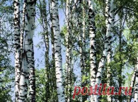Вкуснятина