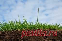 Как определить тип почвы и ее кислотность - Садоводка