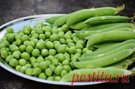 Замороженные продукты для здоровья
К сожалению, лето не длится круглый год, но благодаря тому, что есть возможность сделать заготовки и заморозить фрукты и овощи, то вкусом лета можно наслаждаться круглый год. Сегодня #замороженные_овощи и фрукты доступны в любом маркете. Пищевая ценность замороженных овощей и фруктов чуть меньше, чем свежих, но на разнообразие блюд и вкусовых качеств продуктов это не […]
Читай дальше на сайте. Жми подробнее ➡