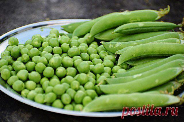 Замороженные продукты для здоровья
К сожалению, лето не длится круглый год, но благодаря тому, что есть возможность сделать заготовки и заморозить фрукты и овощи, то вкусом лета можно наслаждаться круглый год. Сегодня #замороженные_овощи и фрукты доступны в любом маркете. Пищевая ценность замороженных овощей и фруктов чуть меньше, чем свежих, но на разнообразие блюд и вкусовых качеств продуктов это не […]
Читай дальше на сайте. Жми подробнее ➡