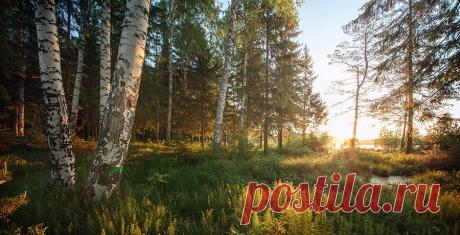 Поиск Mail.Ru