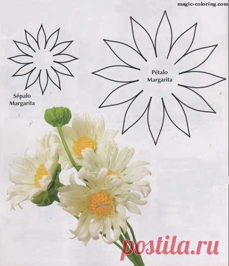 (50) Одноклассники
