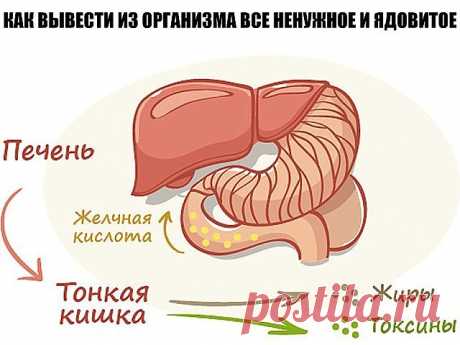 1 непрочитанный чат