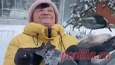 VID-20260119-WA0007.mp4