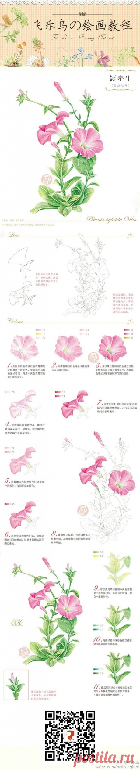 飞乐鸟的照片 - 微相册@你會☆彡在哪裡ヽ采集到彩绘。植物。教程～(22图)_花瓣