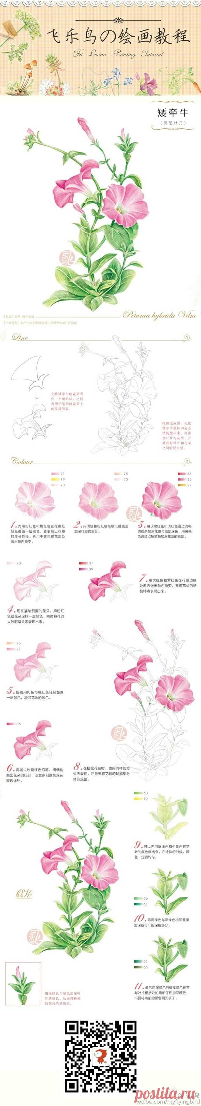 飞乐鸟的照片 - 微相册@你會☆彡在哪裡ヽ采集到彩绘。植物。教程～(22图)_花瓣
