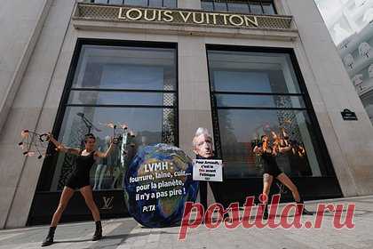 Louis Vuitton и Gucci угодили в новый скандал. Популярные люксовые бренды угодили в новый скандал с участием зоозащитной организации PETA («Люди за этичное обращение с животными»). Согласно отчету, большинство крупных ретейлеров сегмента люкс приобретают кашемир на монгольских фермах, где жестоко обращаются с козами, из пуха которых производят ткань.