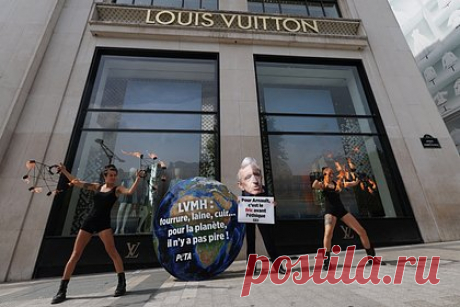 Louis Vuitton и Gucci угодили в новый скандал. Популярные люксовые бренды угодили в новый скандал с участием зоозащитной организации PETA («Люди за этичное обращение с животными»). Согласно отчету, большинство крупных ретейлеров сегмента люкс приобретают кашемир на монгольских фермах, где жестоко обращаются с козами, из пуха которых производят ткань.