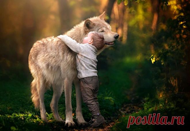 Спасти друга. Олег Бондаренко &raquo; Женский Мир