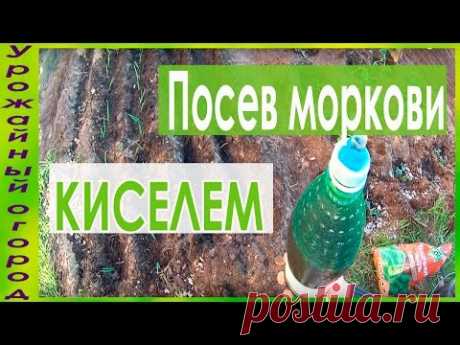 СУПЕР СПОСОБ ПОСЕВА МОРКОВИ КИСЕЛЕМ!