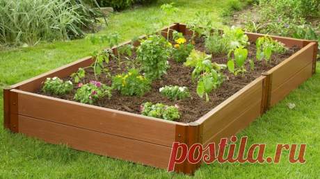 Грядки из пластиковой доски: чудо-материал или напрасная трата денег? Чтобы красиво обустроить приусадебный участок не обязательно тратить много денег на материалы или создавать масштабные проекты. Украсить можно любые элементы и при этом использовать простые материалы. Например, вы можете сделать оригинальные грядки из пластиковой доски.  Такой вариант замечательно подходит для ландшафтного оформления. А если вы не знаете, какие конструкции из пластика можно использовать,...
