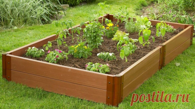 Грядки из пластиковой доски: чудо-материал или напрасная трата денег? Чтобы красиво обустроить приусадебный участок не обязательно тратить много денег на материалы или создавать масштабные проекты. Украсить можно любые элементы и при этом использовать простые материалы. Например, вы можете сделать оригинальные грядки из пластиковой доски.  Такой вариант замечательно подходит для ландшафтного оформления. А если вы не знаете, какие конструкции из пластика можно использовать,...