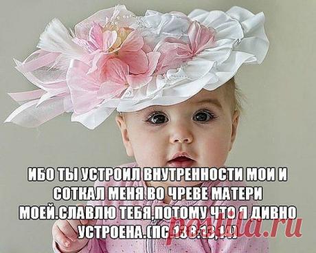 Фотоальбом «Мои фотографии» - Владимир, Санкт-Петербург, 51 год