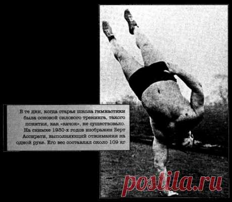 Тренировочная зона. Секретная система физических тренировок (Пол Уэйд)