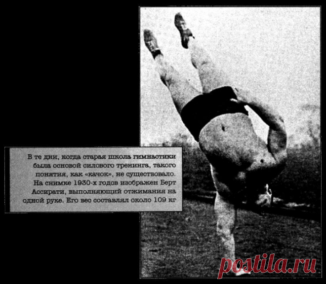 Тренировочная зона. Секретная система физических тренировок (Пол Уэйд)