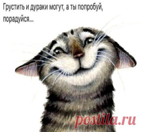 ДОБРОЕ УТРО, ДОРОГИЕ!