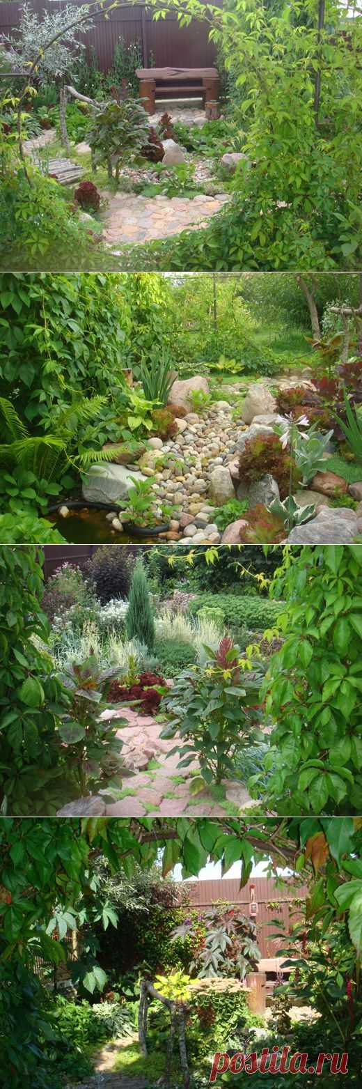 "Зеленая комната" в саду. / Конкурс дачных фотографий / 7dach.ru