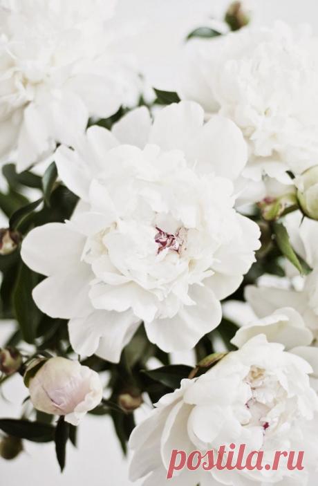 Найдено на сайте snobfashionsource.blogspot.co.nz.