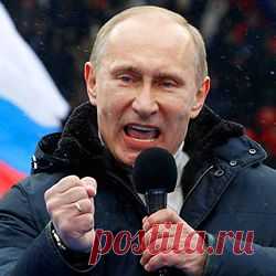 Самое интересное в сети
